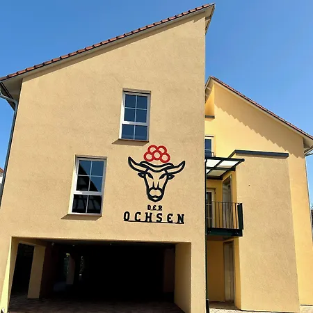Der Ochsen