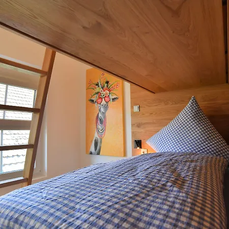 Der Ochsen Ξενοδοχείο με διαμερίσματα 5*